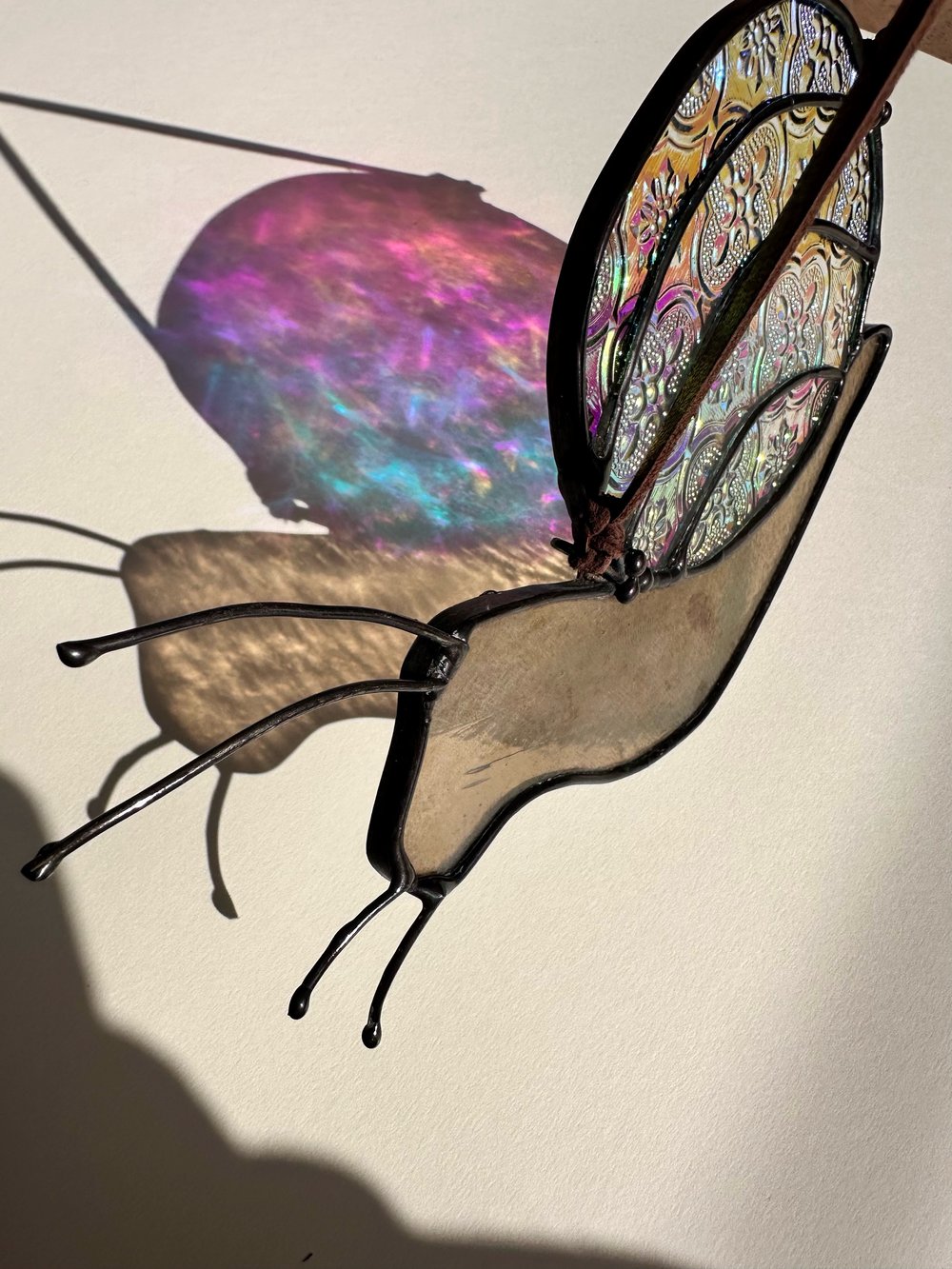 Image of disco snail