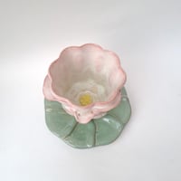 Image 4 of Water lily