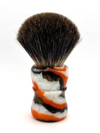 Image 4 of Calico