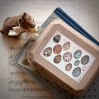 Image 4 of Set of 12 Spun Cotton Eggs, Naturalist Style (4 options)