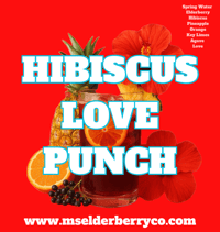 Hibiscus Love Punch 