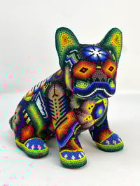 Image 1 of French Bulldog Puppy Vol 3 003