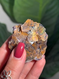 Image 6 of NATURAL RAINBOW IRIDESCENT CUBIC FLUORITE -CHINA- P