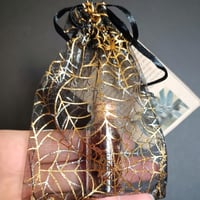 Image 4 of Tarantula fangs vial