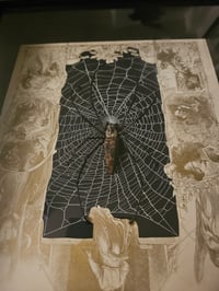 Image 6 of  Orbweaver taxidermy spider with 1800 Bible Page & Real Web