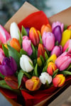 Tulipanes Mix