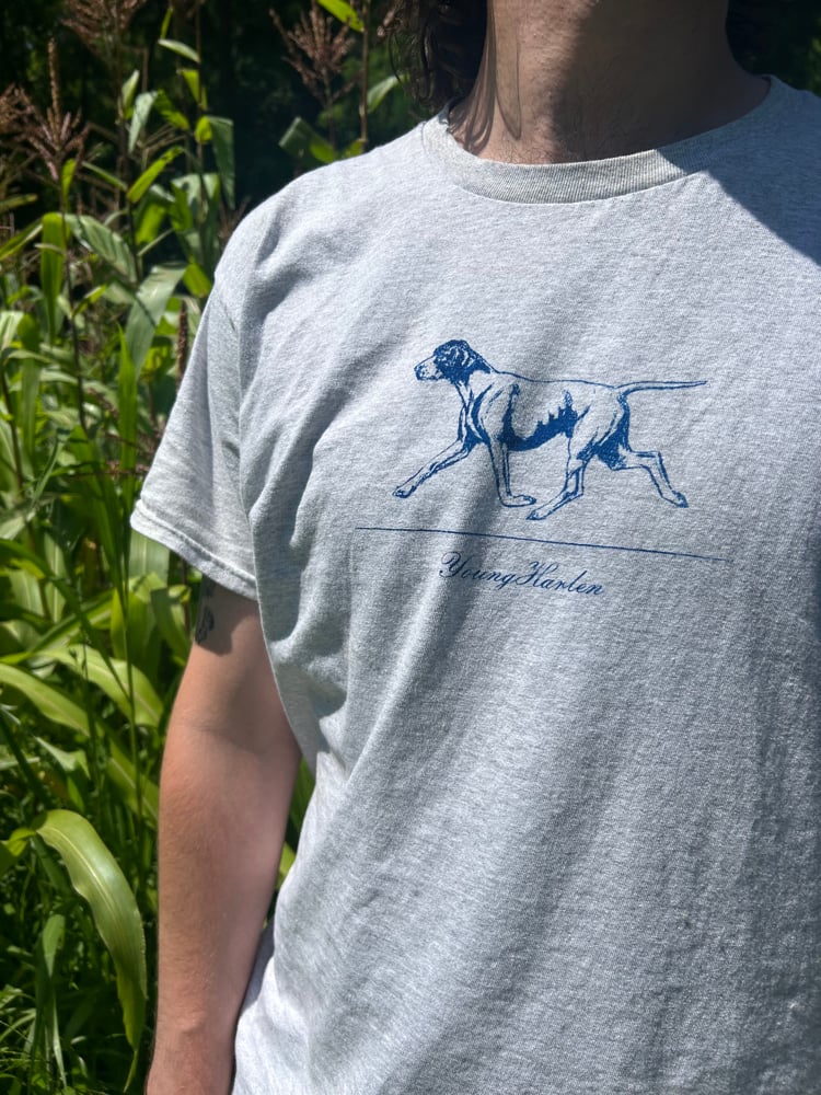 DIAGRAM DOG (low stock) Image 4