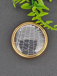 Image 4 of Mini Vintage decorative Jar with  Real Preserved Web
