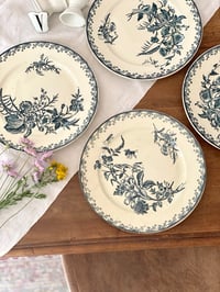 Image 3 of Assiettes Terre de fer - Pexonne fin XIXe