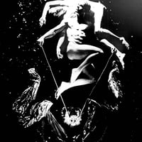 Image 2 of Steven Arnold - Epiphanies 