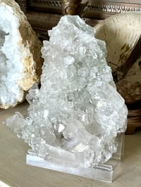 Image 18 of Large Clear Quartz Points Cluster Statement Piece #2596