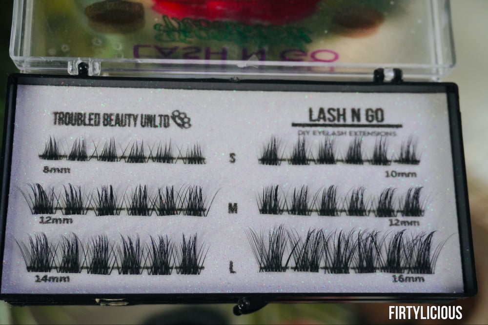 Image of LASH N GO CLUSTER LASHES