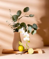 Image 3 of Tranquil Tonka & Sweet Sandalwood Incense Sticks