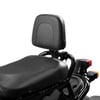 Ruckus Passenger Seat Rear Backrest Cushion Back Rest Pad Motorcycle