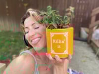 Image 1 of Red Log Peperomia in Yellow Gold "Killing It" Pot