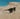 Dark Daze Sunglasses