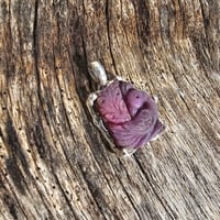 Image 1 of Ruby Peacock