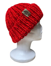 Image 1 of CHUNKY BEANIE MARS