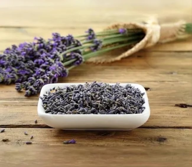 Lavender Flower Buds