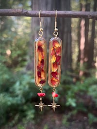 Image 3 of Evergold Earrings 