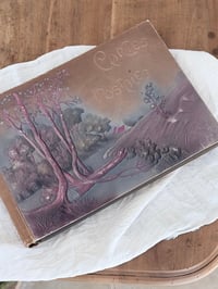 Image 2 of Anciens albums à cartes postales