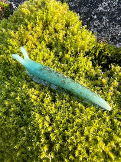 Image of Blue Boro Slug