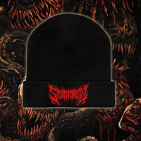 Image 1 of BEANIES - PREORDER