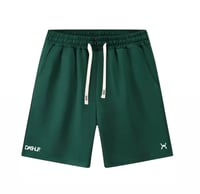 Image 1 of BASKETBALL SHORTS 