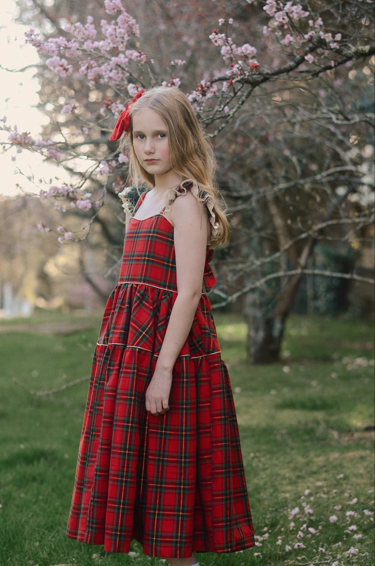 Merry dress Image 5