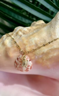Image 3 of Tiny Scallop Shell + Sea Turtle Necklace N171