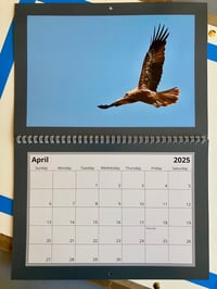 Image 2 of 2025 Bird Calendar 