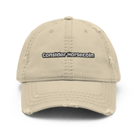 Image 3 of Consider Horsecoin damaged hat