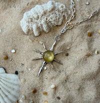 Image 1 of Sunburst 