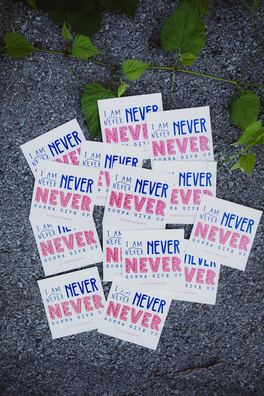 Image of STICKER: "I Am Never, Never, Never Gonna Give Up" 