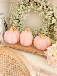 Image 1 of SALE! Pink Ceramic Pumpkins ( Set or Singles )