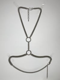 Image 1 of DIVINE harness