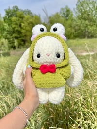 Cute Frog Hoodie Bunny