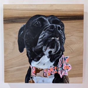 10" x 10" Pet Portrait