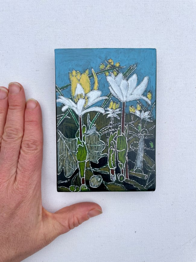 Bloodroot 2 