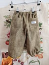 Leopard Mini buks