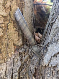 Twist Damascus Carver