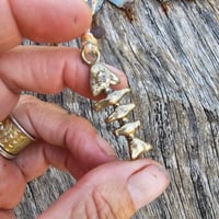 Image 2 of Bone Fish