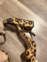 Image 2 of  Steve Madden leopard print sandals
