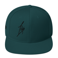 Image 23 of 1 of One Snapback Hat 