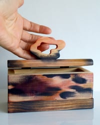 Image 3 of 'Gently on the Surface' Box