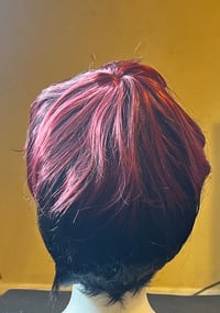 Image 5 of Nola Burg