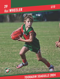 Individual footy cards 