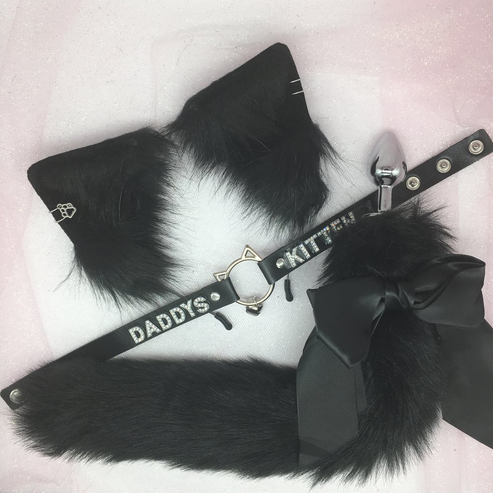 Black Kitten Set 🐾 Petplay 