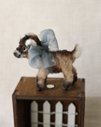 Image 2 of pipe cleaner Cocoa the dwarf goat