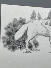 Image 5 of Country Roads - Arwork 